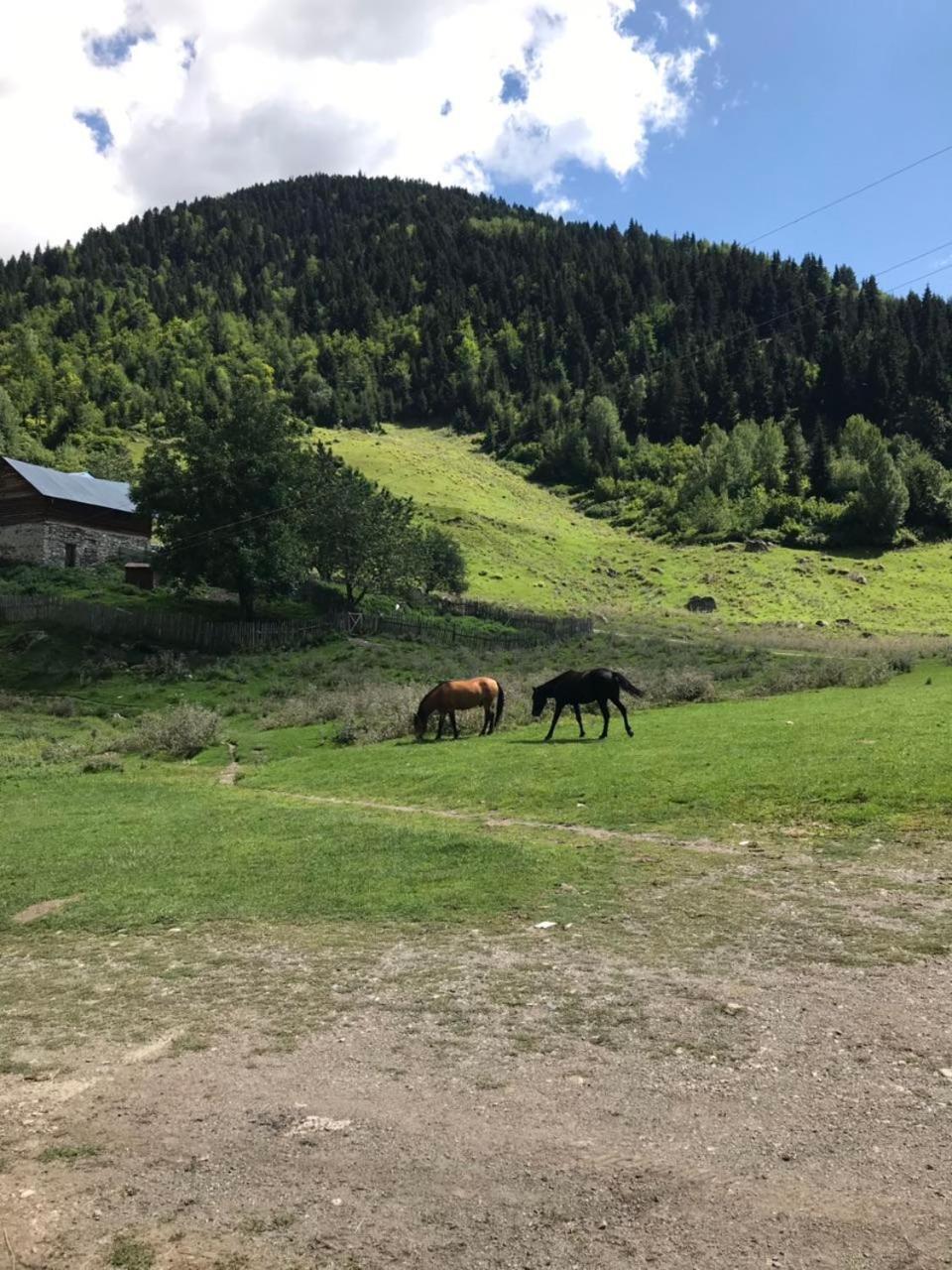 Givi Kakhiani'S Guesthouse Zhabeshi Eksteriør bilde